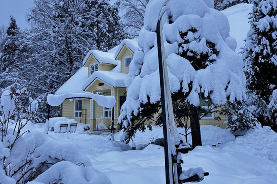Overnight Nature Experience at Uuejärve Matkapesa