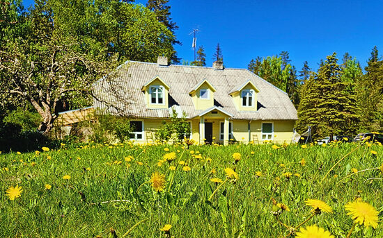 Escape the City by Train – Nature, Manor and Forest food Magic