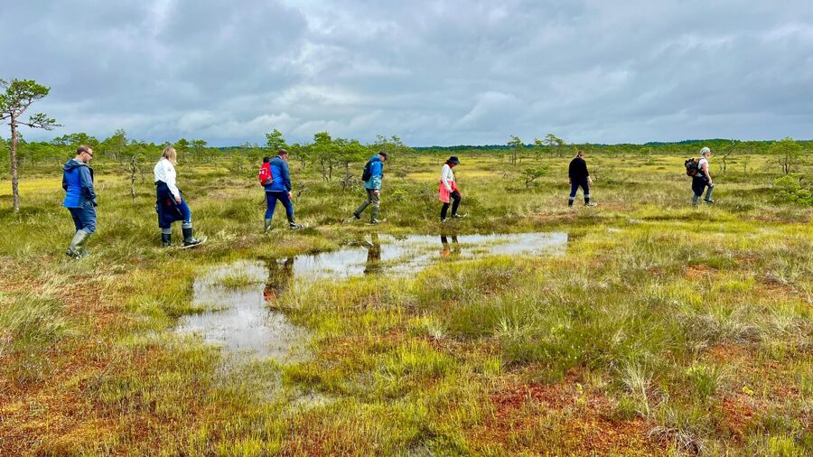 Bog Walks, Manor Visits & Local Treats: Train Adventure!